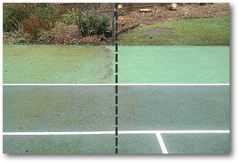 Before and after cleaning